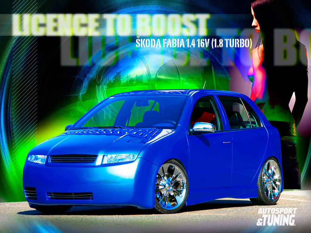 (11)ŠKODA FABIA 
